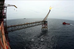 Empresa mixta Vietnam- Rusia proyecta explotar tres millones de toneladas de petróleo y gas en 2021