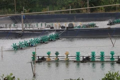 En alza producción acuícola de la provincia vietnamita de Tien Giang 