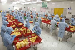 Aumentan un 17,4 por ciento las exportaciones vietnamitas de frutas y hortalizas