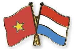 Conmemoran 48 años de las relaciones diplomáticas Vietnam-Países Bajos
