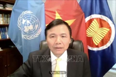 Vietnam exige mayor protección infantil en conflictos en medio de pandemia