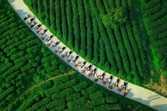 Provincia vietnamita de Cao Bang, con gran potencialidad de turismo agrícola 