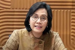 Indonesia por cumplir compromisos sobre respuesta a cambio climático