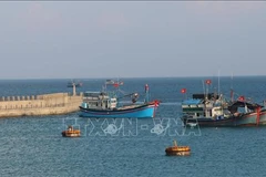 Servicios logísticos pesqueros en archipiélago vietnamita de Truong Sa