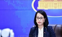 Aclara Cancillería de Vietnam asuntos de gran atención del público