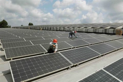 EE.UU. no realizará investigación antidumping contra batería solar de Vietnam