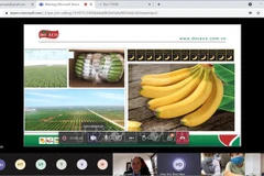 Reino Unido, mercado potencial de frutas y hortalizas vietnamitas