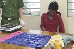 Detienen a narcotraficante con 12 mil pastillas de drogas en provincia de Dien Bien