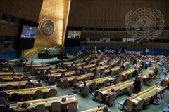 Vietnam es reelegido miembro de la Comisión de Derecho Internacional de la ONU
