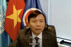Vietnam insta a promover la Carta de la ONU para mantener la paz y seguridad internacional