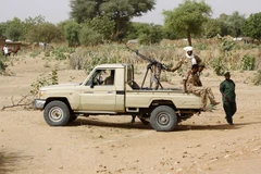 Participa Vietnam en diálogo virtual del Consejo de Seguridad de la ONU sobre Darfur