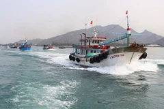 Localidades costeras de Vietnam por combatir contra la pesca ilegal 