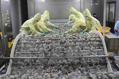 Vietnam aspira a alcanzar 12 mil millones de dólares por exportación de productos acuáticos