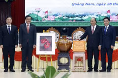 Destacan avances en desarrollo socioeconómico de provincia vietnamita de Quang Nam