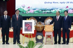 Destacan avances en desarrollo socioeconómico de provincia vietnamita de Quang Nam