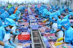 Vietnam por convertirse en centro mundial de procesamiento de mariscos