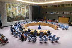 Vietnam valora resultados de elecciones al Senado en Somalia