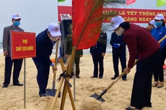 Vicepresidenta vietnamita lanza campaña de plantación de arboles 