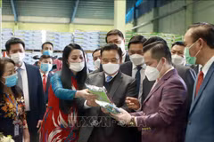 Presidente de la Asamblea Nacional de Laos visita la provincia vietnamita de Vinh Phuc