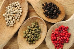 Vietnam por erigirse en suministrador global de especias y aromas