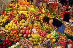 Vietnam busca impulsar exportaciones a Corea del Sur 