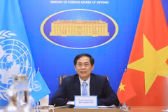 Reafirma Vietnam importancia de relaciones con ESCAP 