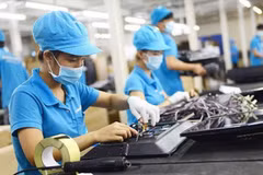 Respaldan a trabajadores y empleadores vietnamitas afectados por el COVID-19