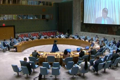 Vietnam expresa preocupaciones sobre violencia contra civiles en Somalia