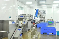 Exportaciones de mariscos de Vietnam a España mantienen un crecimiento constante