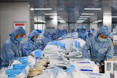 UKVFTA favorece inversiones británicas en sector de la salud de Vietnam