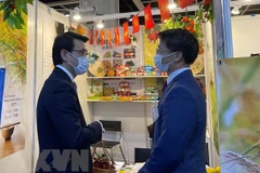 Vietnam amplía la cooperación con Hong Kong (China) en inversión y turismo