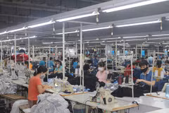 Inversiones en parques industriales y zonas económicas de Vietnam aumentan más de 10 por ciento