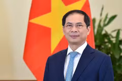 Vietnam llama a fortalecer cooperación internacional en respuesta a pandemia