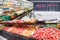 Promueven productos agrícolas vietnamitas en sistemas de distribución extranjeros