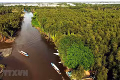 Vietnam trabaja por conservar los ecosistemas del Delta del río Mekong