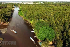 Vietnam trabaja por conservar los ecosistemas del Delta del río Mekong
