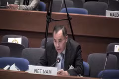 Vietnam propone soluciones para aliviar impacto del COVID-19 en migrantes