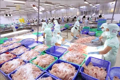 Vietnam experimenta alza en exportaciones de productos acuícolas
