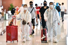 Instala aeropuerto de Noi Bai en Hanoi sistemas modernos para prevenir COVID-19
