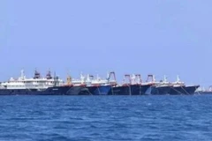 Insta Vietnam a China poner fin a violación de su soberanía sobre Mar del Este 