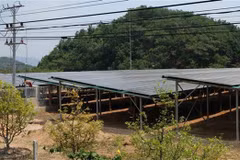 Firman contrato de licitación para construcción de plantas de energía solar en Vietnam