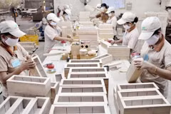Exportaciones silvícolas de Vietnam crecen 41,5 por ciento en primer trimestre 