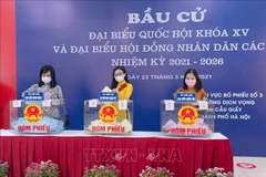Medios de comunicación extranjeros publican artículos sobre las elecciones legislativas en Vietnam