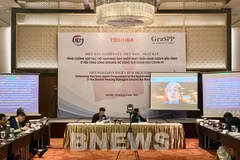 Vietnam y Japón cooperan en el desarrollo energético sostenible en la subregión del Mekong