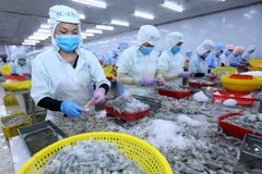Vietnam espera una fuerte recuperación del consumo de mariscos