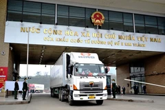 Reanuda Vietnam exportación de plátano fresco a China