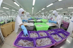 Destacan potencialidades para exportaciones vietnamita en Eurasia