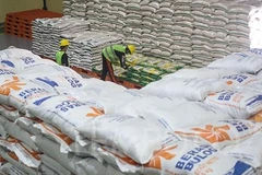 Indonesia planea importar dos millones de toneladas de arroz en 2024