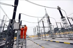 Producción de Corporación de Energía del Norte aumenta un 12,02%