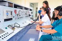 Vietnam busca estimular desarrollo de medicina marítima